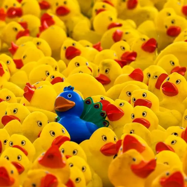Why good brands get ignored (and how to be remarkable)