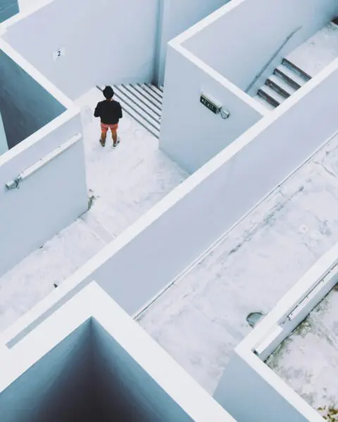 The Growth Trap: How Brands Can Grow Without Losing Their Difference